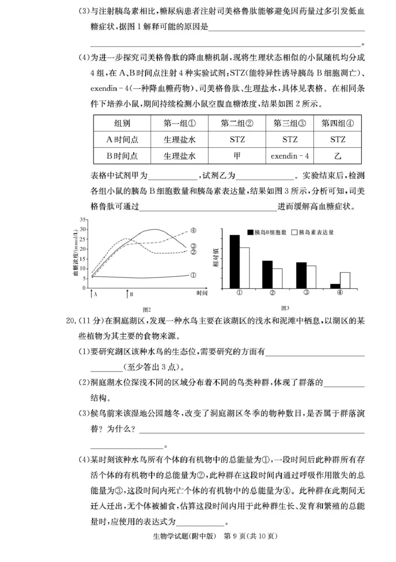 湖南省长沙市湖南师范大学附属中学2026届高三上学期月考（一）生物试卷（含答案）_2025年9月_250901湖南省长沙市师范大学附属中学2025-2026学年高三上学期8月月考（一）（全科）