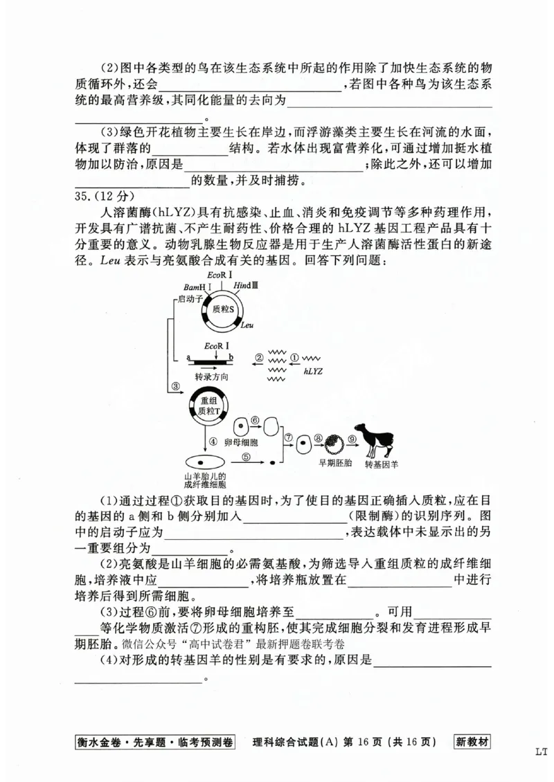2023衡水临考预测（全国卷新教材）理综a卷_2023高考押题卷_2023衡水临考预测（全国卷新教材）