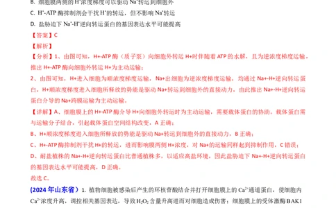 专题03物质的跨膜运输-2024年高考真题和模拟题生物分类汇编（教师卷）_近10年高考真题汇编（必刷）_十年（2014-2024）高考生物真题分项汇编（全国通用）