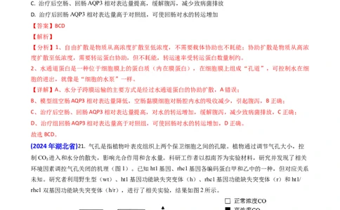 专题03物质的跨膜运输-2024年高考真题和模拟题生物分类汇编（教师卷）_近10年高考真题汇编（必刷）_十年（2014-2024）高考生物真题分项汇编（全国通用）