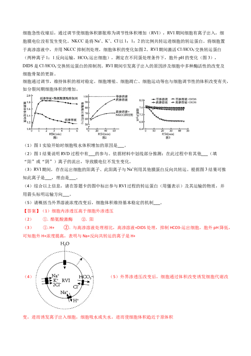 专题03物质的跨膜运输-2024年高考真题和模拟题生物分类汇编（教师卷）_近10年高考真题汇编（必刷）_十年（2014-2024）高考生物真题分项汇编（全国通用）