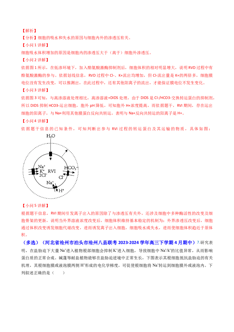 专题03物质的跨膜运输-2024年高考真题和模拟题生物分类汇编（教师卷）_近10年高考真题汇编（必刷）_十年（2014-2024）高考生物真题分项汇编（全国通用）