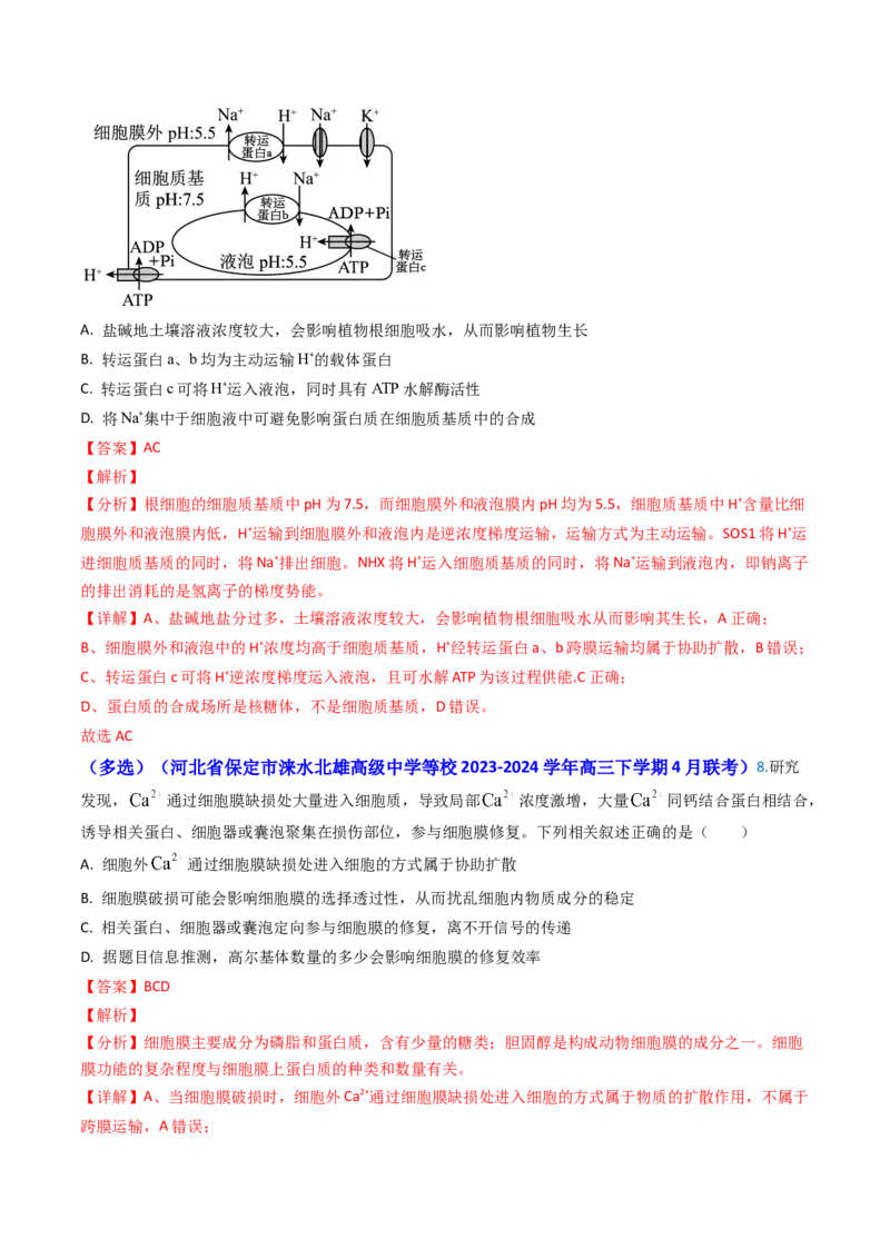 专题03物质的跨膜运输-2024年高考真题和模拟题生物分类汇编（教师卷）_近10年高考真题汇编（必刷）_十年（2014-2024）高考生物真题分项汇编（全国通用）