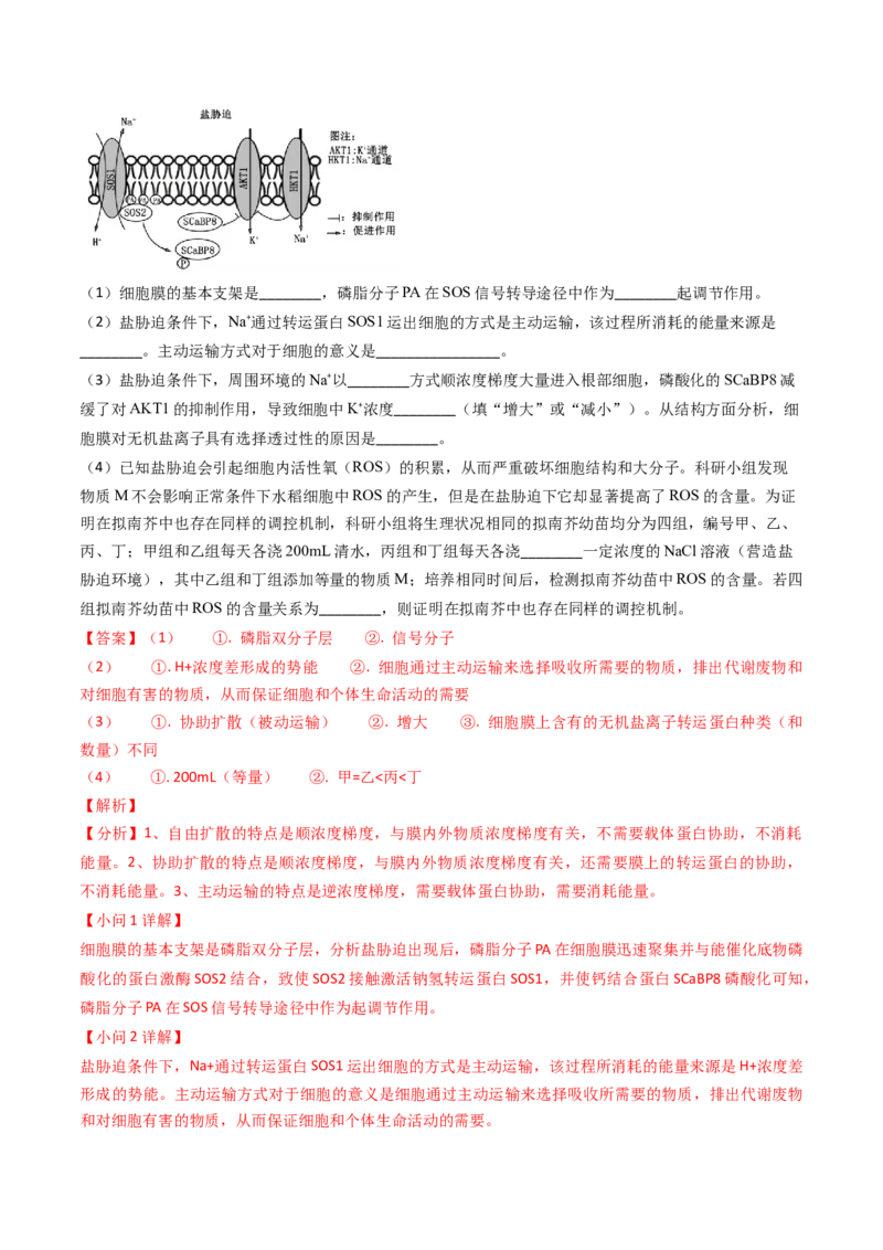 专题03物质的跨膜运输-2024年高考真题和模拟题生物分类汇编（教师卷）_近10年高考真题汇编（必刷）_十年（2014-2024）高考生物真题分项汇编（全国通用）