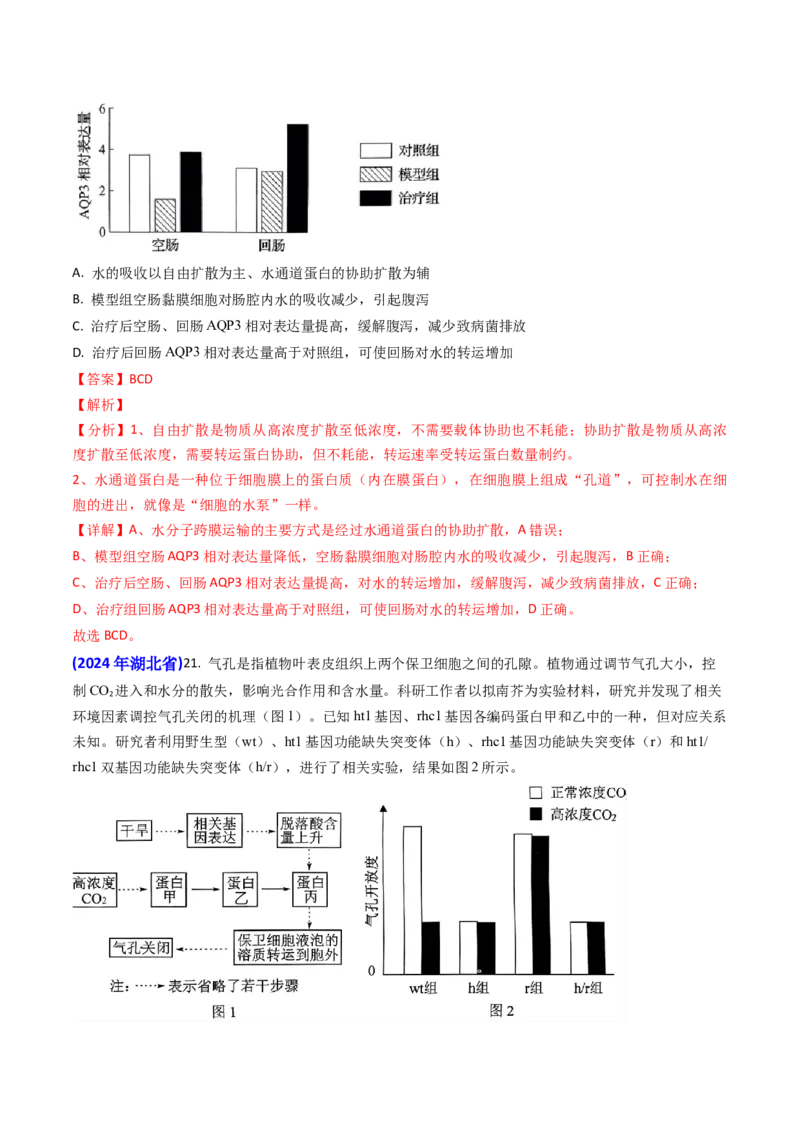 专题03物质的跨膜运输-2024年高考真题和模拟题生物分类汇编（教师卷）_近10年高考真题汇编（必刷）_十年（2014-2024）高考生物真题分项汇编（全国通用）
