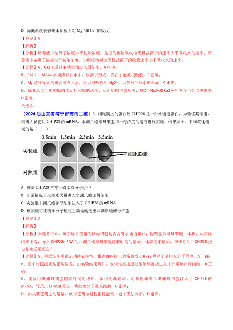 专题03物质的跨膜运输-2024年高考真题和模拟题生物分类汇编（教师卷）_近10年高考真题汇编（必刷）_十年（2014-2024）高考生物真题分项汇编（全国通用）