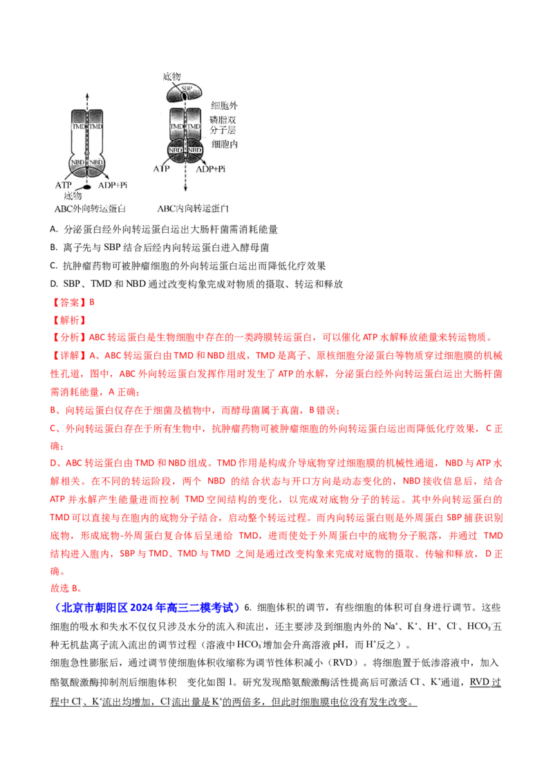 专题03物质的跨膜运输-2024年高考真题和模拟题生物分类汇编（教师卷）_近10年高考真题汇编（必刷）_十年（2014-2024）高考生物真题分项汇编（全国通用）