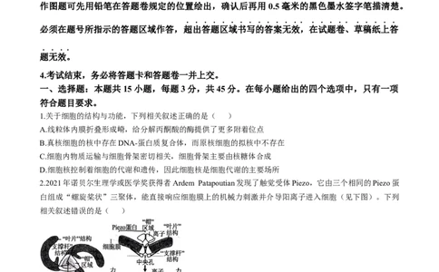 安徽省十联考合肥市第一中学等校2025届高三上学期阶段性诊断检测生物+答案_2025年1月_250102安徽省十联考合肥市第一中学等校2025届高三上学期阶段性诊断检测