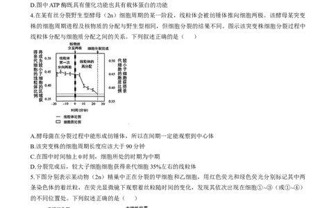 安徽省十联考合肥市第一中学等校2025届高三上学期阶段性诊断检测生物+答案_2025年1月_250102安徽省十联考合肥市第一中学等校2025届高三上学期阶段性诊断检测
