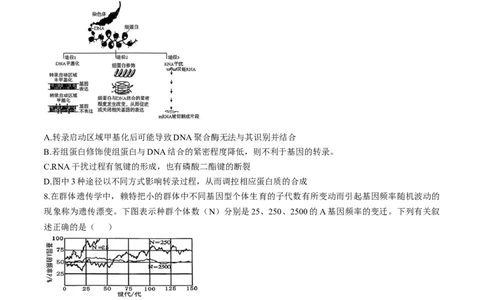 安徽省十联考合肥市第一中学等校2025届高三上学期阶段性诊断检测生物+答案_2025年1月_250102安徽省十联考合肥市第一中学等校2025届高三上学期阶段性诊断检测