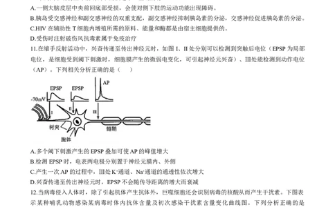 安徽省十联考合肥市第一中学等校2025届高三上学期阶段性诊断检测生物+答案_2025年1月_250102安徽省十联考合肥市第一中学等校2025届高三上学期阶段性诊断检测
