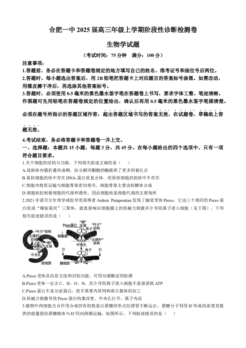 安徽省十联考合肥市第一中学等校2025届高三上学期阶段性诊断检测生物+答案_2025年1月_250102安徽省十联考合肥市第一中学等校2025届高三上学期阶段性诊断检测