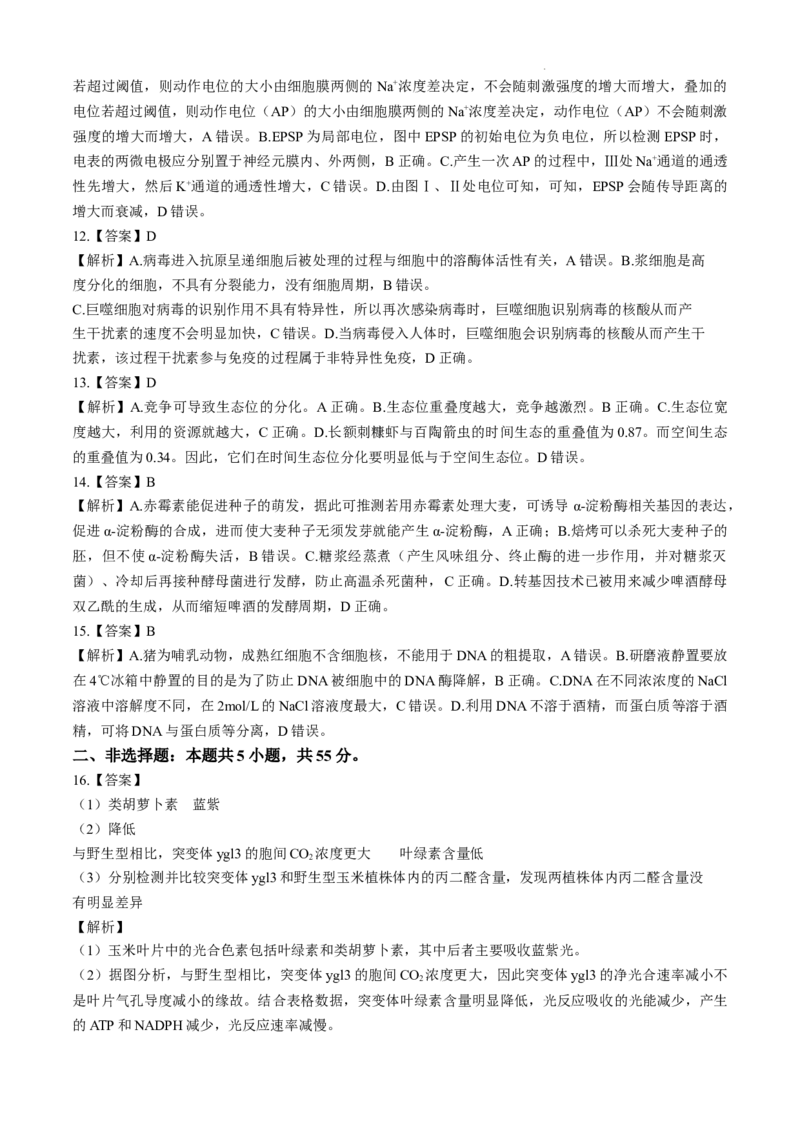 安徽省十联考合肥市第一中学等校2025届高三上学期阶段性诊断检测生物+答案_2025年1月_250102安徽省十联考合肥市第一中学等校2025届高三上学期阶段性诊断检测