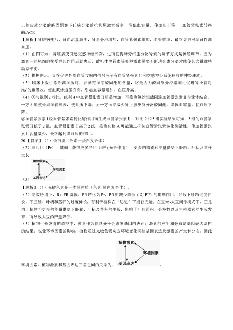 安徽省十联考合肥市第一中学等校2025届高三上学期阶段性诊断检测生物+答案_2025年1月_250102安徽省十联考合肥市第一中学等校2025届高三上学期阶段性诊断检测