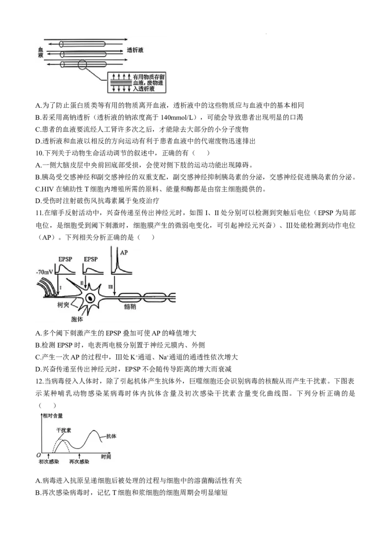 安徽省十联考合肥市第一中学等校2025届高三上学期阶段性诊断检测生物+答案_2025年1月_250102安徽省十联考合肥市第一中学等校2025届高三上学期阶段性诊断检测