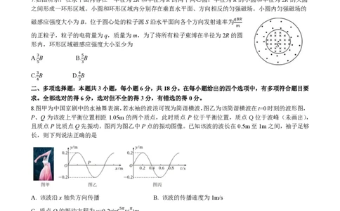 成都石室中学2024-2025学年度下期高2025届二诊模拟考试物理_2025年3月_250305四川省成都石室中学2024-2025学年度下期高2025届二诊模拟考试（全科）