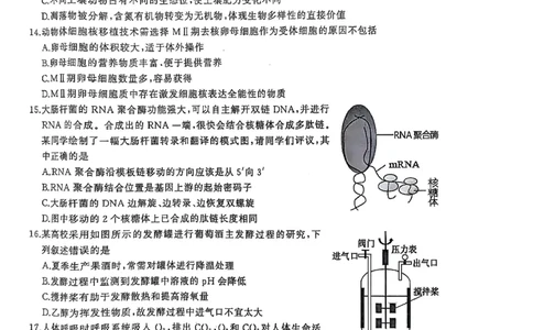 湖北省武汉市江岸区2024-2025学年高三上学期1月期末生物_2025年1月_250113湖北省武汉市江岸区2024-2025学年高三上学期1月期末（全科）
