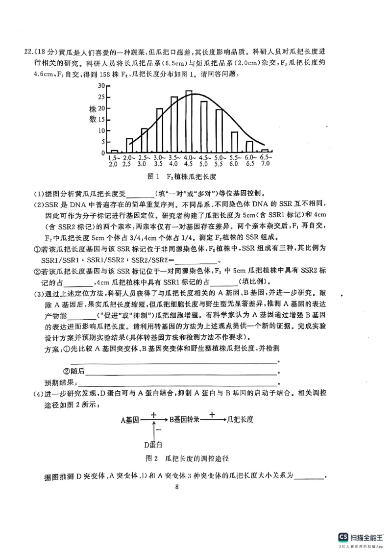 湖北省武汉市江岸区2024-2025学年高三上学期1月期末生物_2025年1月_250113湖北省武汉市江岸区2024-2025学年高三上学期1月期末（全科）