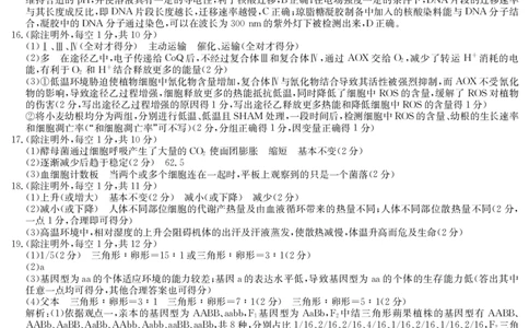 四川省九师联盟2025届高三仿真模拟卷生物答案（AG）_2025年5月_250511九师联盟2025届高三仿真模拟卷（G）（全科）