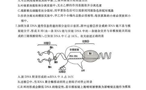山东省枣庄市滕州市2025-2026学年高三上学期11月期中生物试题_2025年11月_251123山东省枣庄市滕州市2025-2026学年高三上学期期中（全科）
