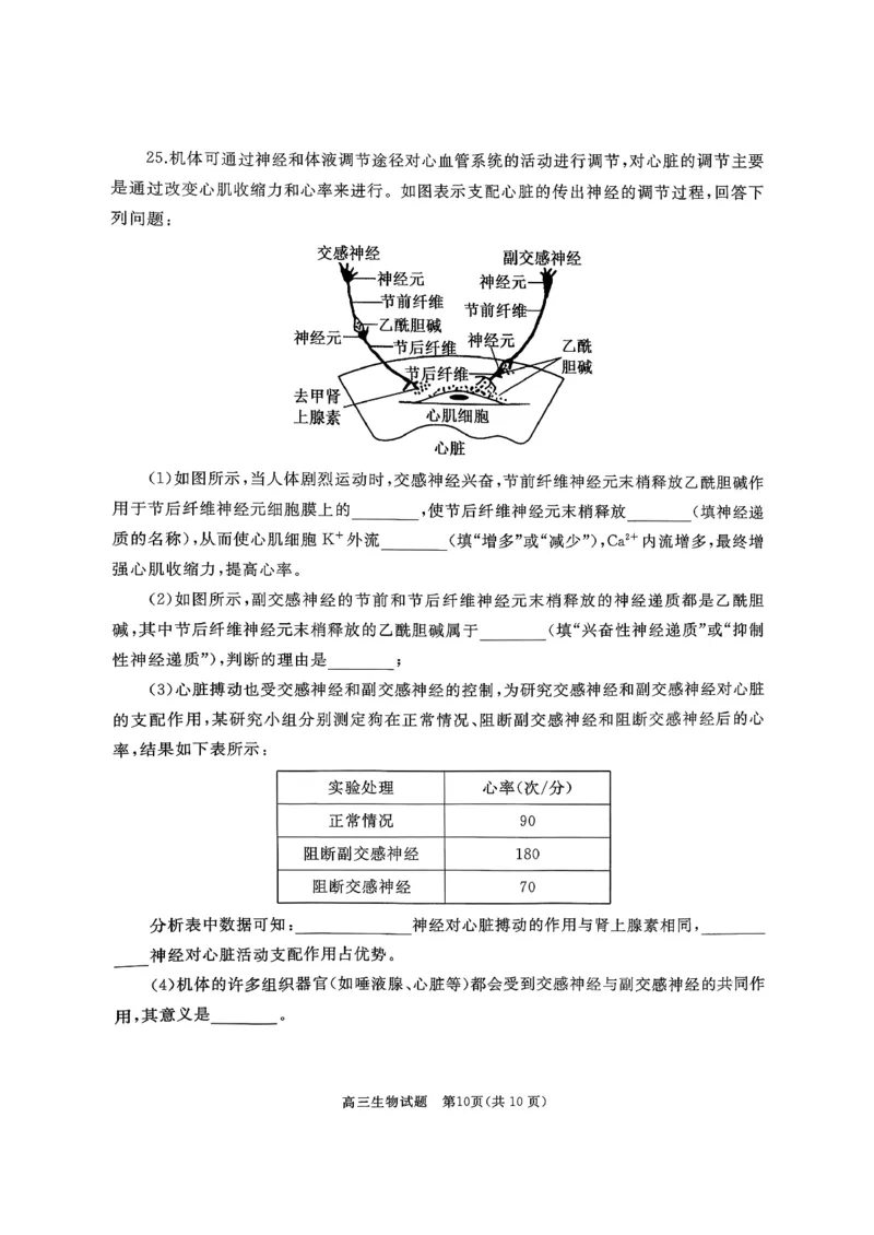 山东省枣庄市滕州市2025-2026学年高三上学期11月期中生物试题_2025年11月_251123山东省枣庄市滕州市2025-2026学年高三上学期期中（全科）