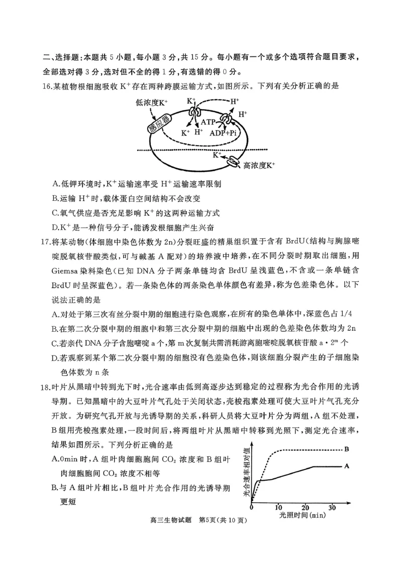 山东省枣庄市滕州市2025-2026学年高三上学期11月期中生物试题_2025年11月_251123山东省枣庄市滕州市2025-2026学年高三上学期期中（全科）