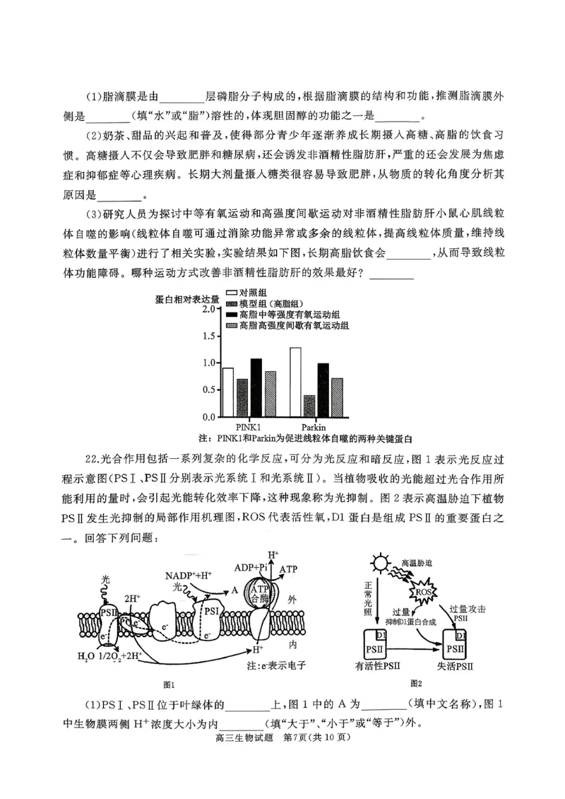 山东省枣庄市滕州市2025-2026学年高三上学期11月期中生物试题_2025年11月_251123山东省枣庄市滕州市2025-2026学年高三上学期期中（全科）