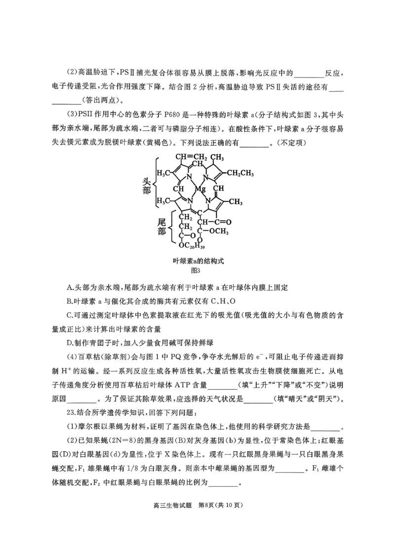 山东省枣庄市滕州市2025-2026学年高三上学期11月期中生物试题_2025年11月_251123山东省枣庄市滕州市2025-2026学年高三上学期期中（全科）