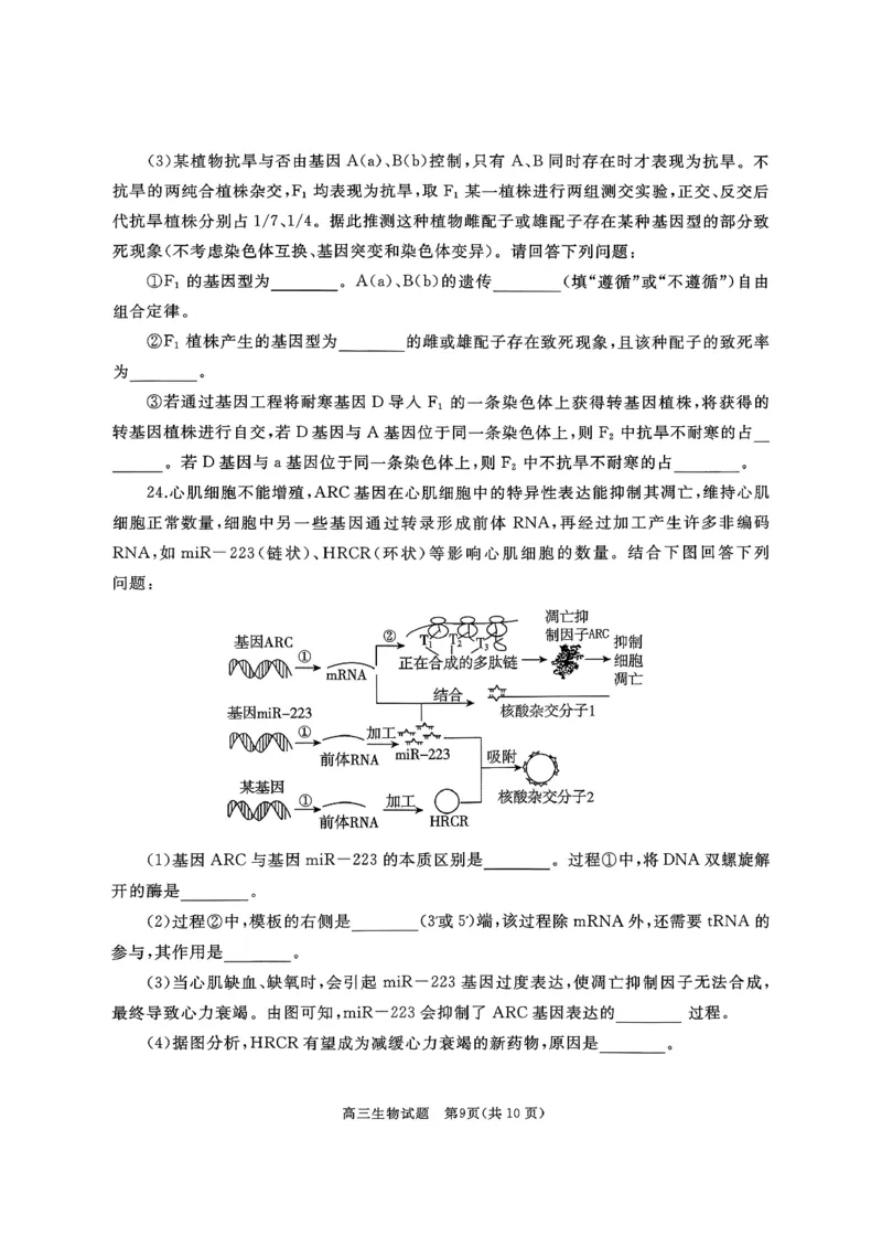 山东省枣庄市滕州市2025-2026学年高三上学期11月期中生物试题_2025年11月_251123山东省枣庄市滕州市2025-2026学年高三上学期期中（全科）