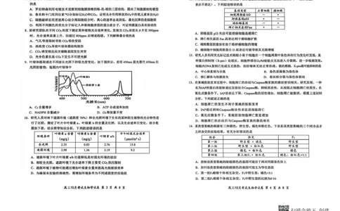 湖北省云学联盟2025-2026学年高三上学期10月月考生物试卷_2025年10月_251020湖北云学联盟2026届高三上学期10月考试（全科）