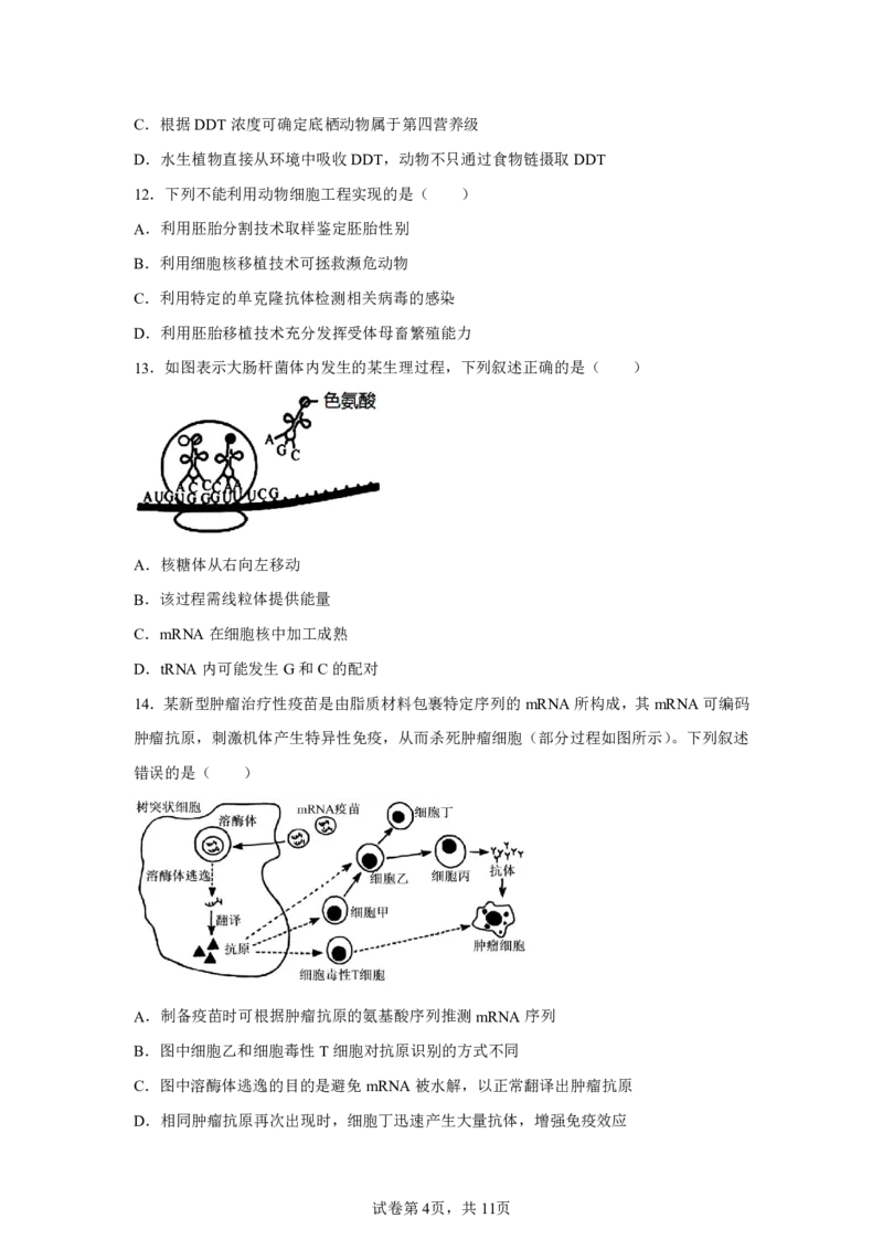 生物+答案浙南名校联盟2025-2026学年高三上学期10月联考生物试题-A4答案卷尾_2025年10月_251010浙江省浙南名校联盟2026届高三上学期10月联考（全科）