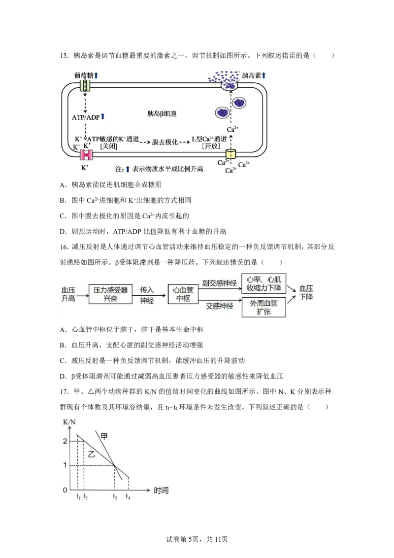 生物+答案浙南名校联盟2025-2026学年高三上学期10月联考生物试题-A4答案卷尾_2025年10月_251010浙江省浙南名校联盟2026届高三上学期10月联考（全科）