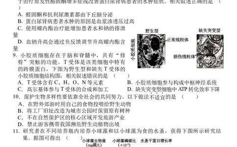 武汉二中2025届高三年级高考模拟考试002_2025年5月_2505272025届湖北省武汉市第二中学高三模拟预测试题_2025届湖北省武汉市第二中学高三下学期模拟考试生物试卷