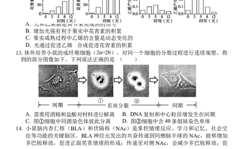 武汉二中2025届高三年级高考模拟考试002_2025年5月_2505272025届湖北省武汉市第二中学高三模拟预测试题_2025届湖北省武汉市第二中学高三下学期模拟考试生物试卷
