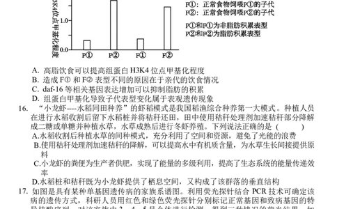 武汉二中2025届高三年级高考模拟考试002_2025年5月_2505272025届湖北省武汉市第二中学高三模拟预测试题_2025届湖北省武汉市第二中学高三下学期模拟考试生物试卷