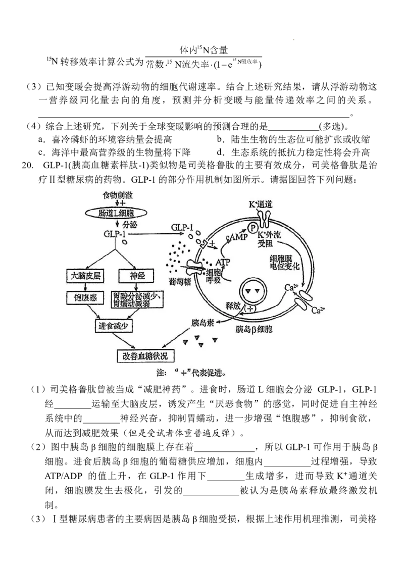 武汉二中2025届高三年级高考模拟考试002_2025年5月_2505272025届湖北省武汉市第二中学高三模拟预测试题_2025届湖北省武汉市第二中学高三下学期模拟考试生物试卷