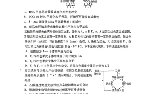 山东省潍坊市2025届高三下学期3月模拟考试生物_2025年3月_250323山东省潍坊市2025届高三下学期3月模拟考试（全科）_山东省潍坊市2025届高三下学期3月模拟考试生物