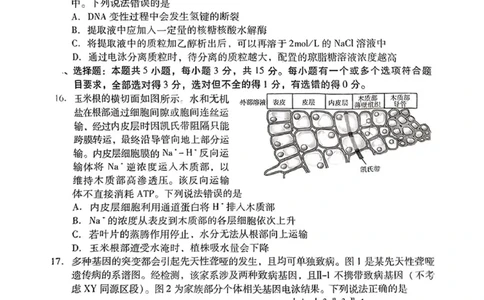 山东省潍坊市2025届高三下学期3月模拟考试生物_2025年3月_250323山东省潍坊市2025届高三下学期3月模拟考试（全科）_山东省潍坊市2025届高三下学期3月模拟考试生物