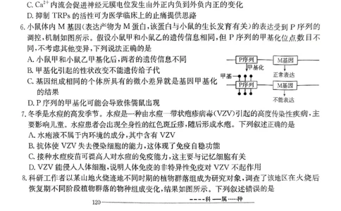 重庆市好教育联盟2025届高三2月联考（金太阳331C）生物_2025年3月_250307重庆市好教育联盟2025届高三2月联考（金太阳331C）（全科）