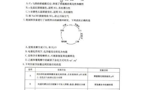辽宁省抚顺市六校协作体2024-2025学年高三下学期期初检测化学_2025年3月_250313辽宁省抚顺市六校协作体2024-2025学年高三下学期期初检测（金太阳350C）（全科）