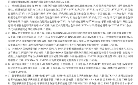 生物答案-5月考前押题（A）_2025年5月_250528安徽省九师联盟2025届高三下学期5月考前押题（全科）