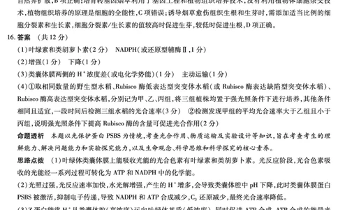 生物-海南高三学业水平诊断(三)详细答案_2025年3月_250308海南省天一大联考2024-2025学年高三学业水平诊断(三)（全科）_海南省天一大联考2024-2025学年高三学业水平诊断（三）详细答案