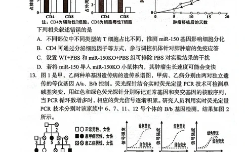 福建省龙岩市2025年高中毕业班五月教学质量检测生物_2025年5月_250510福建省龙岩市2025年高中毕业班五月教学质量检测（全科）