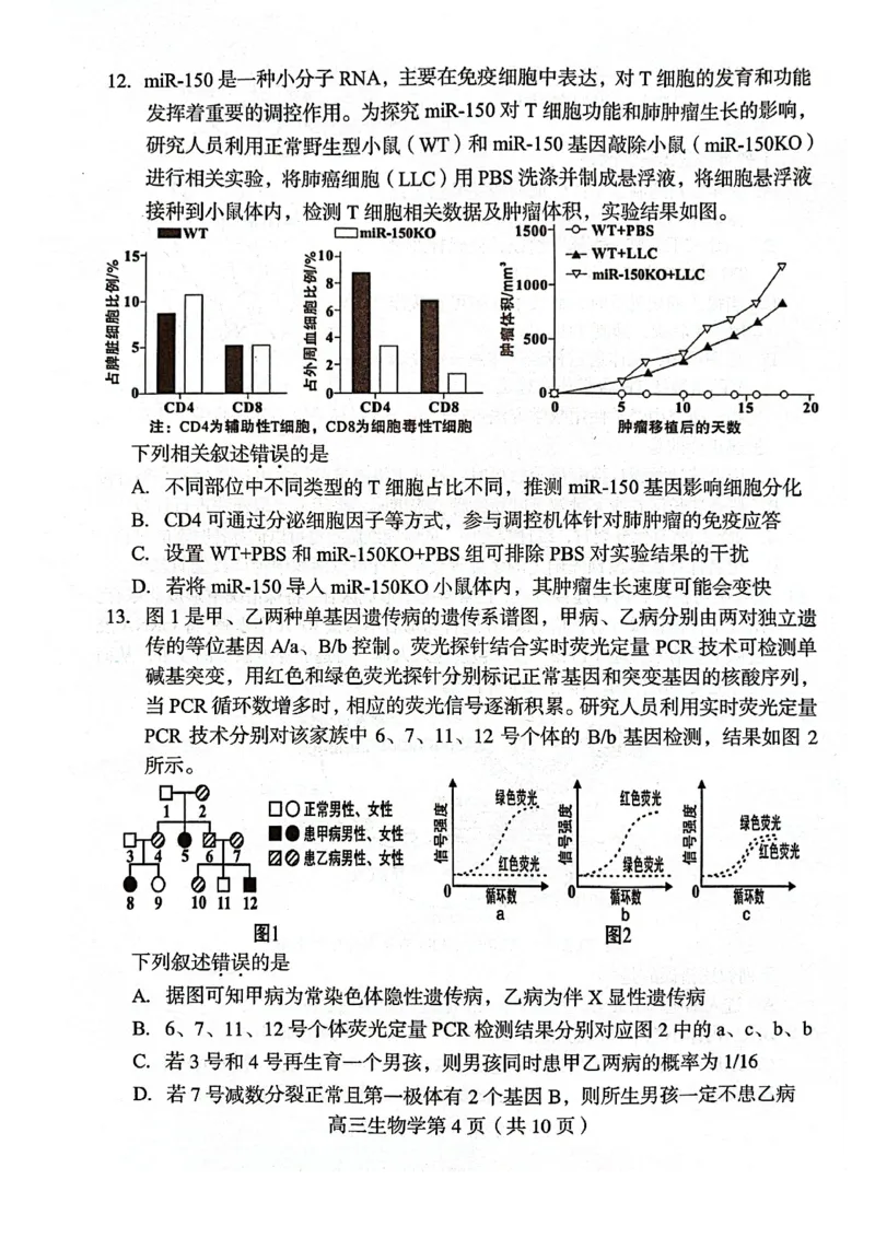 福建省龙岩市2025年高中毕业班五月教学质量检测生物_2025年5月_250510福建省龙岩市2025年高中毕业班五月教学质量检测（全科）