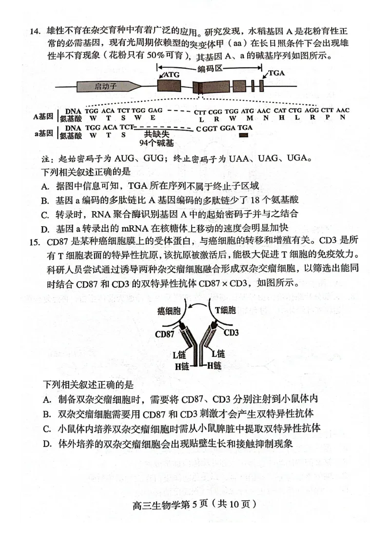 福建省龙岩市2025年高中毕业班五月教学质量检测生物_2025年5月_250510福建省龙岩市2025年高中毕业班五月教学质量检测（全科）