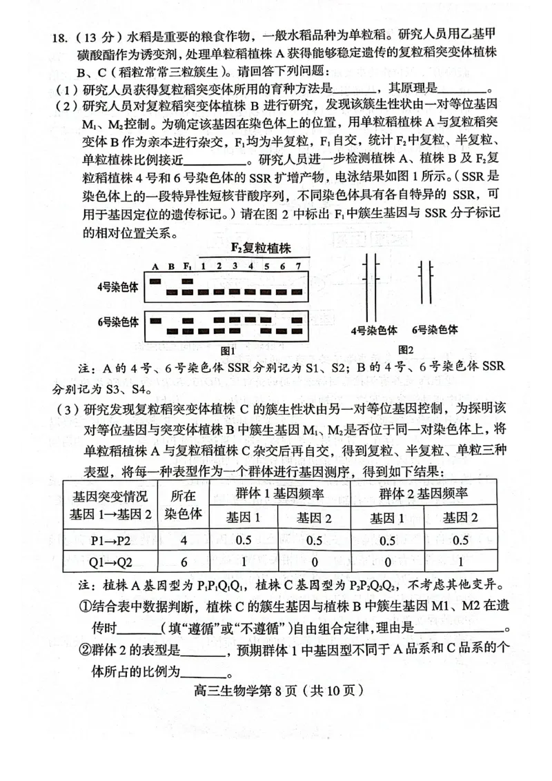 福建省龙岩市2025年高中毕业班五月教学质量检测生物_2025年5月_250510福建省龙岩市2025年高中毕业班五月教学质量检测（全科）