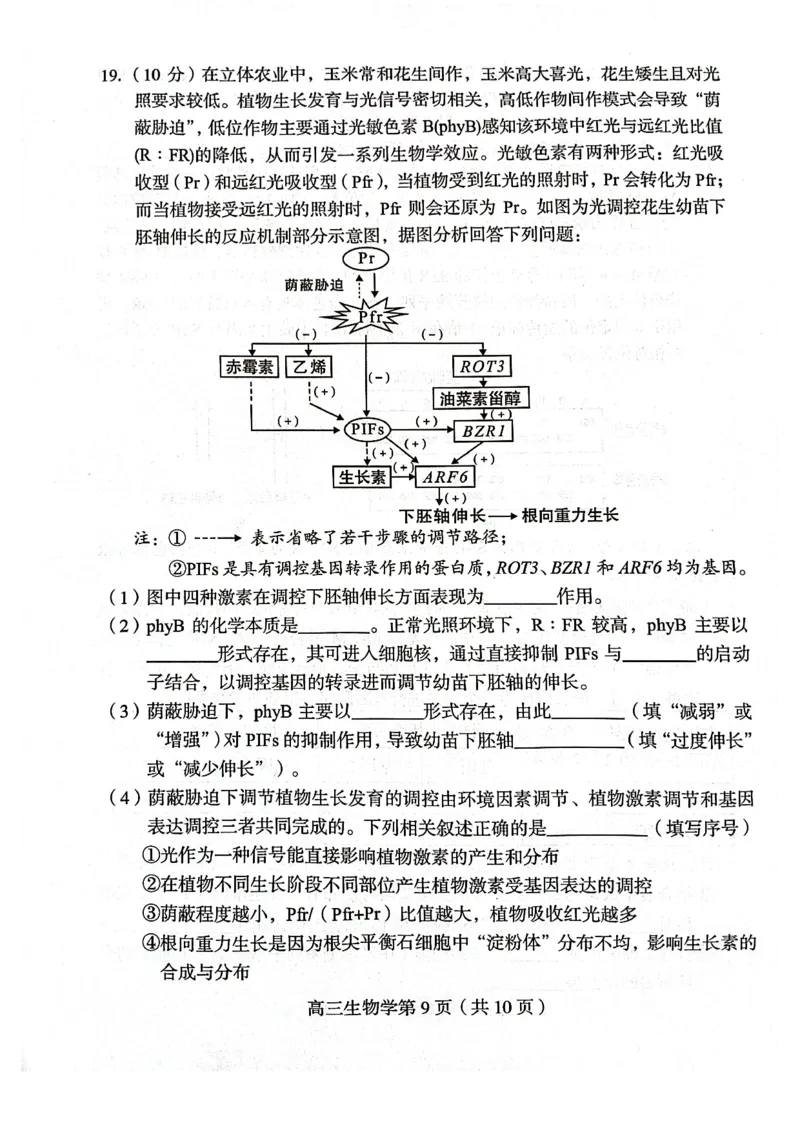 福建省龙岩市2025年高中毕业班五月教学质量检测生物_2025年5月_250510福建省龙岩市2025年高中毕业班五月教学质量检测（全科）