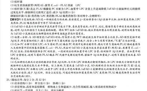 湖南新高考教学教研联盟暨长郡二十校联盟2025届高三年级第二次联考生物答案_2025年4月_250408湖南新高考教学教研联盟暨长郡二十校联盟2025届高三年级第二次联考（全科）