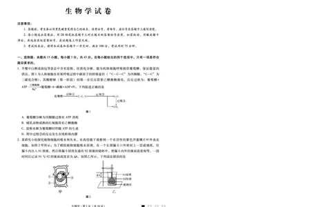 重庆市第八中学2025届高三2月适应性月考卷（五）生物_2025年3月_250302重庆市第八中学2025届高三2月适应性月考卷（五）（全科）_重庆市第八中学2025届高三2月适应性月考卷（五）生物