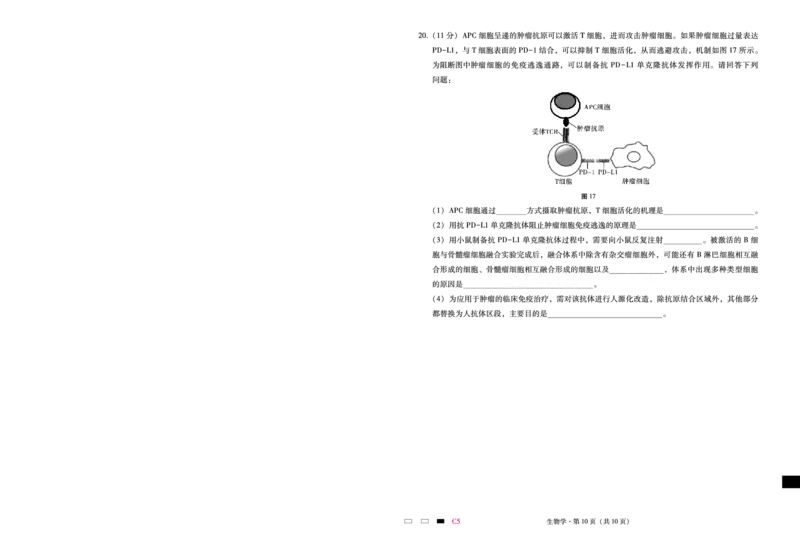 重庆市第八中学2025届高三2月适应性月考卷（五）生物_2025年3月_250302重庆市第八中学2025届高三2月适应性月考卷（五）（全科）_重庆市第八中学2025届高三2月适应性月考卷（五）生物